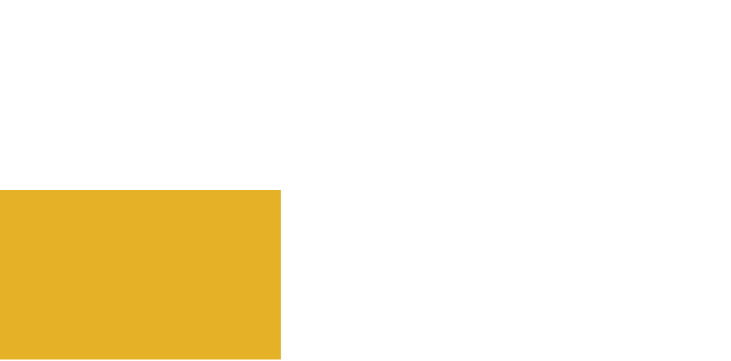 Dream Big Go Biz